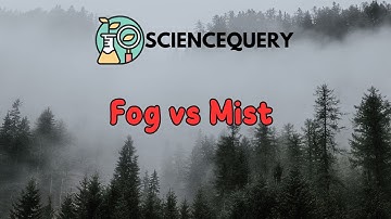 Fog vs Mist