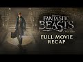 Fantastic Beasts And Where To Find Them Full Movie Recap 