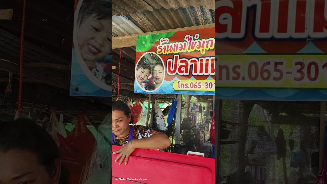 ร้านขายปลาริมเขื่อนราษีไศล ปลาสดๆ เขื่อนราษีไศล มีหลายร้าน สนใจโทร ร้านเสี่ยไก่ โทร 0897203818