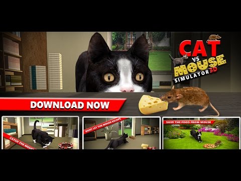 Cat Vs Mouse Simulator 3D