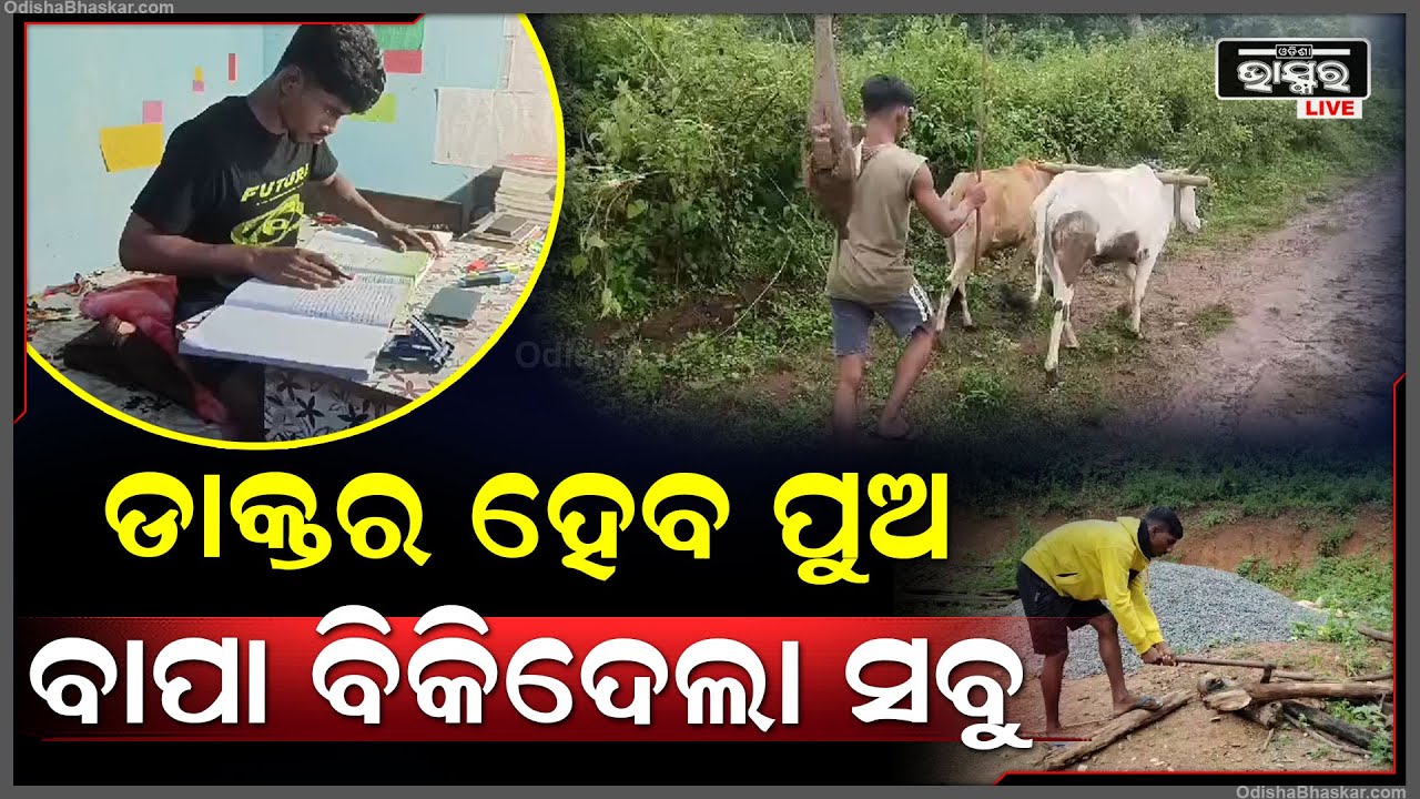 ପାଠ ପଢା ପାଇଁ ଚାଷ ଜମି ବନ୍ଧା ପକାଇଲେ ଥିଲେ ବାପା, ଶେଷରେ ଡାକ୍ତର ହେବ ପୁଅ