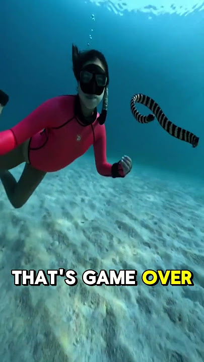 “This ‘Eel’ Has Venom 10x Stronger Than a Cobra 😳🐍”#oceanfacts #marinemystery #deepsea #shorts