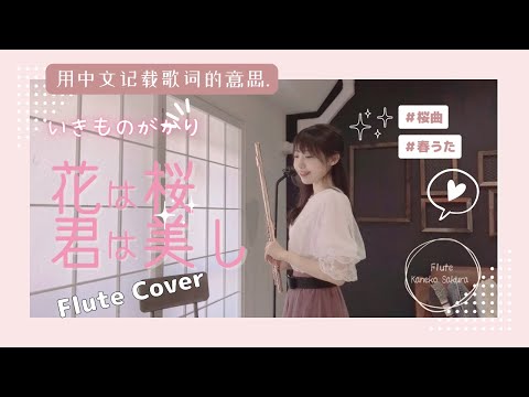 花は桜君は美し / いきものがかり (如櫻花般美好的你)Flute Cover