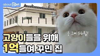 A twostory rural house for five cats┃Cat Dream House EP.1┃About pet