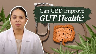 Can CBD Improve GUT HEALTH? - Doctor Explains The Strange Connection
