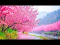 Beautiful Relaxing Music - Stop Overthinking, Stress Relief Music, Sleep Music, Calming Music #27