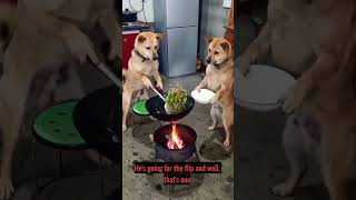 🐶 Two Dogs Cooking Dinner Like Pro Chefs 😂🔥 | Funny AI Animals #shorts