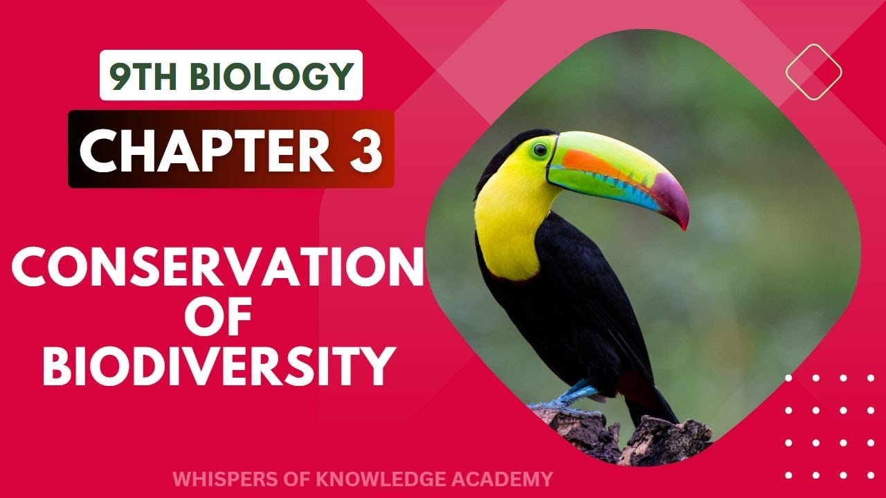 Conservation of Biodiversity | 9th Biology Chapter 3 Lecture 14 | # ...