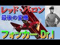 【兵器解説】第一次世界大戦のエースパイロット「レッド・バロン」最後の愛機|フォッカー Dr.I
