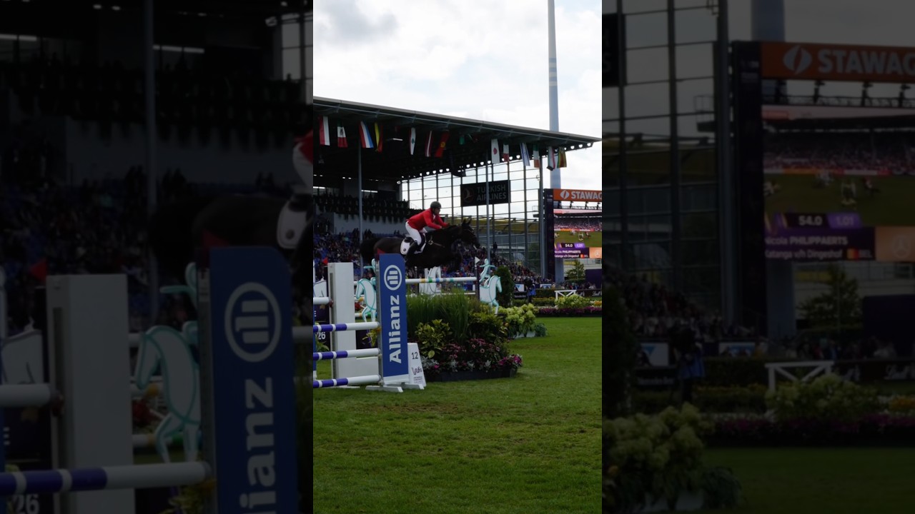 Do Elite Horses Enjoy Their Job?