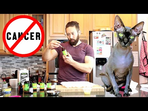 چگونه گربه خود را از سرطان درمان کنید / درمان طبیعی سرطان حیوان خانگی