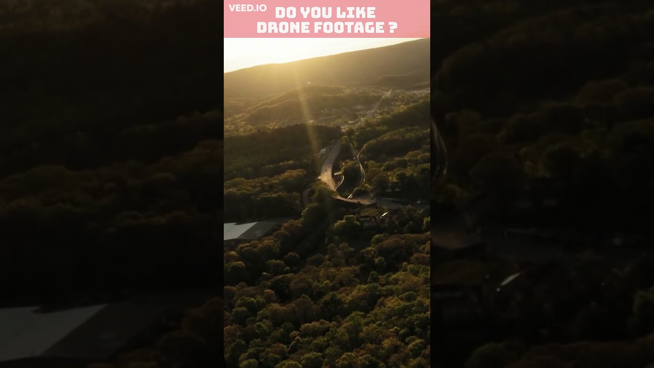 Stunning drone footage of a sunrise over a nature forest 