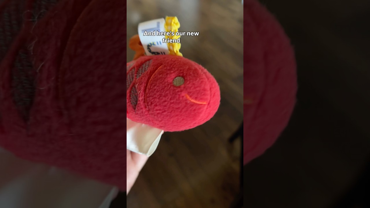 I’m glad he’s not a dead fish plushie 