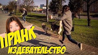 ПРАНК! Придурок хозяин убегает от своих собак ПРАНК! Придурок хозяин убегает от своих собак