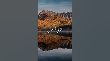 ولقد اريناه آياتنا كلها فكذب وأبى  - محمد أيوب