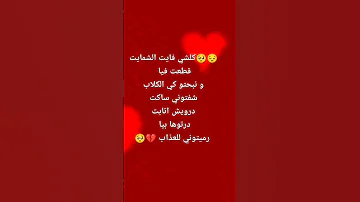 كلشي فايت الشمايت 