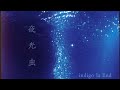 夜光虫 / indigo la End / covered by 杏那