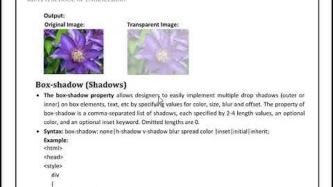 DWD UNIT 1 ||  LECTURE 18 ||  CSS3  OPACITY, BOX SHADOW, BORDER  RADIUS
