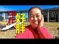 媳婦閑著沒事稱體重，看到顯示118斤，笑得一臉尷尬 | Weigh in, see 118 pounds, smile with embarrassment