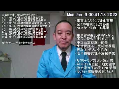 Colabo問題　暇空茜さん　住民監査請求・住民訴訟制度について