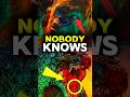 NOBODY KNOWS 🔥 #GodzillavsKong #MovieMystery #shorts