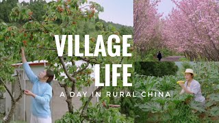 Download Lagu Secret Paradise: Exploring Rural Sichuan's Hidden Gem MP3 Download Lagu Secret Paradise: Exploring Rural Sichuan's Hidden Gem MP3