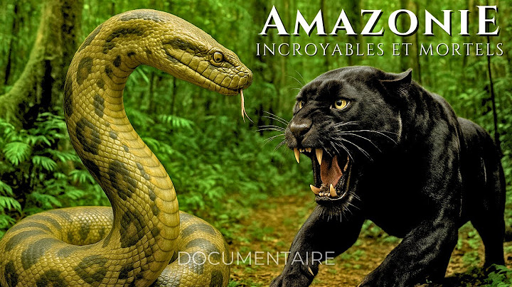 AMAZONIE BRUTALE | La Rencontre des Prédateurs d’Élite | DOCUMENTAIRE ANIMALIER 4K