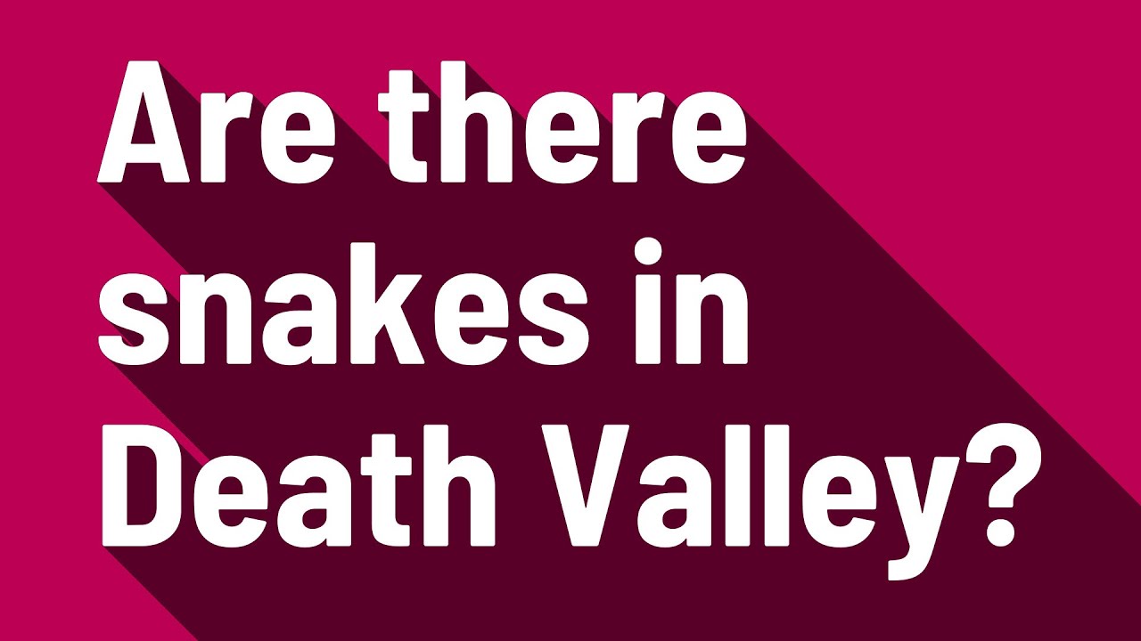 Are There Snakes In Death Valley?