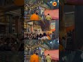 Shri Swami Samarth | Akkalkot | Sukirtg