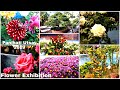 Flower exhibition at panihati utsav 2019  beautiful flowers  mobonny