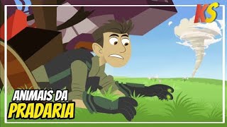 AVENTURA COM OS KRATTS - QUEM DA PRADARIA? - episódio completo em português