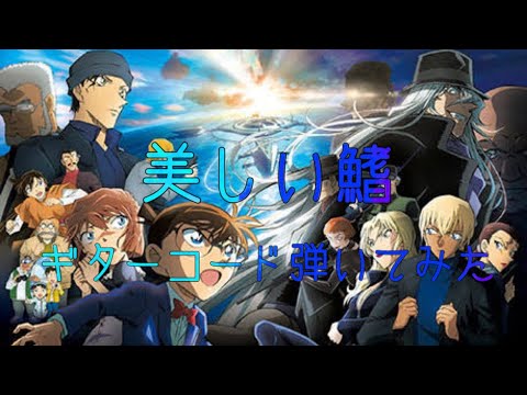 美しい鰭/スピッツ ギターコード弾いてみた