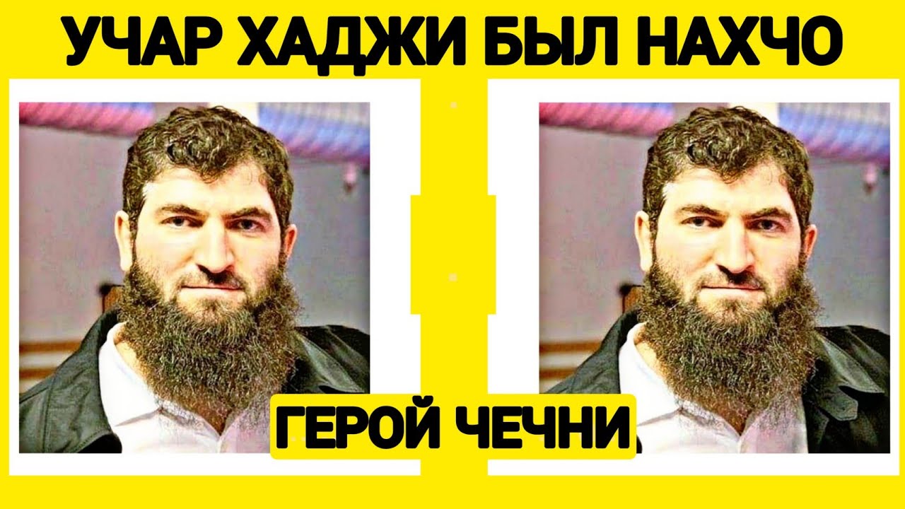 Потомок виста 5