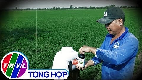 THVL | Vào vụ Đông Xuân: Nguy cơ nhiễm độc từ thuốc bảo vệ thực vật