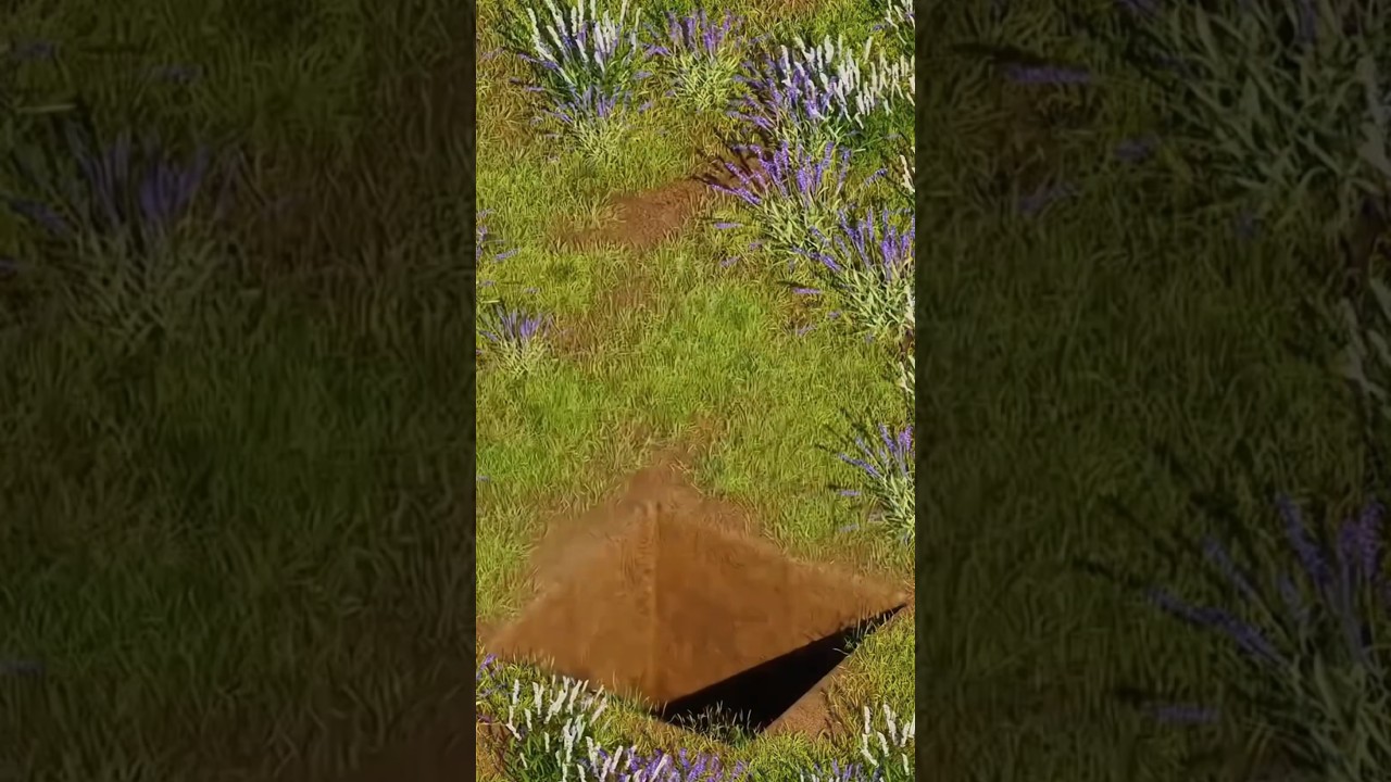 unseen game| for kids 