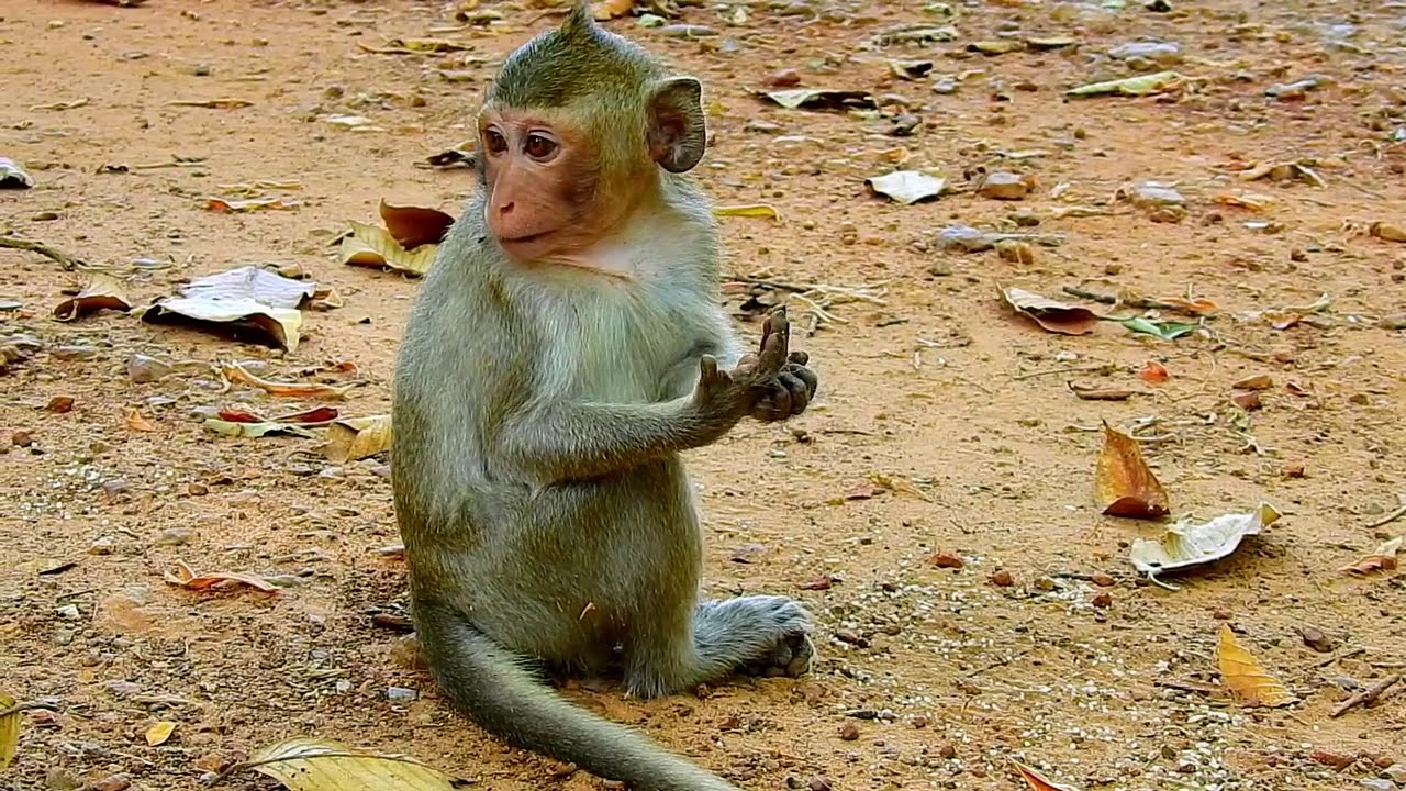 Poor baby Alba so sad mom Anna not comfort her!