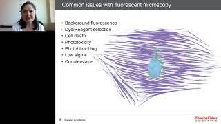 Practical considerations for fluorescence microscopy