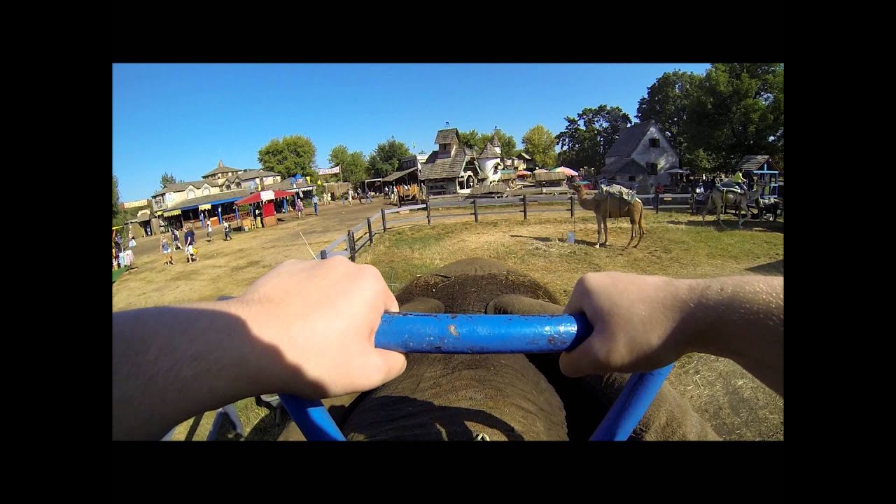 Elephant Rides Renaissance Fair 2013 Minnesota Renaissance Festival | GoPro Elephant Ride-On - YouTube