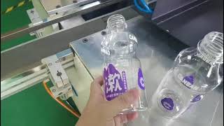 Automatic Two Color Screen Printing Machine for Plastic Bottles
