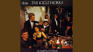 Video thumbnail of "The Icicle Works - Perambulator"