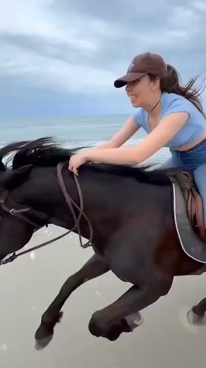 Kuda berlari kencang #horses #kuda #laut #naikkudadilaut #shorts