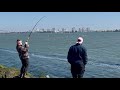 03/22/26 Another great day jacksmelt fishing 🎣