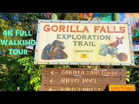Wdw ゴリラ フォールズ エクスプロレーション トレイルの動画 アニマルキングダム フロリダ