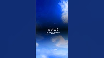 عبد الرحمن مسعد|سورة النمل آيه(83)