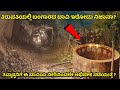 ತಿರುಪತಿಯಲ್ಲಿ ಬಂಗಾರದ ಬಾವಿ ಇರೋದು ನಿಜಾನಾ? Tirupati | Venkateshwara Temple | Mystery Well | Kannada
