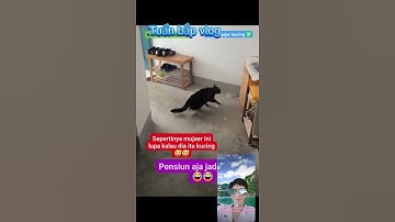 Hài hước của các loài động vật siêu đáng yêu