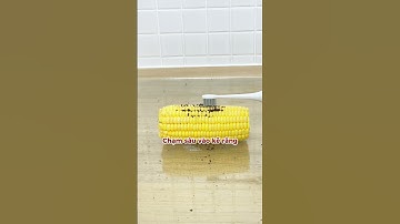 BÀN CHẢI ĐIỆN MAGIC B- 23 SIÊU TIỆN LỢI VỚI NHỮNG BẠN NIỀNG RĂNG