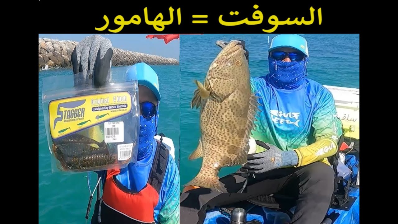 الهامور لا يقاوم السوفت the irresistible Soft Bait