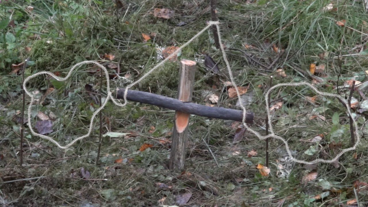 The Double Spring Snare Trap. 