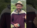 AFIDI: rimedio definitivo